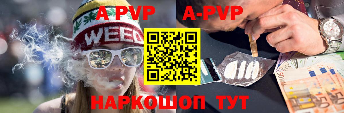 A PVP СК Новотроицк