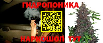 прущие крисы Старая Купавна