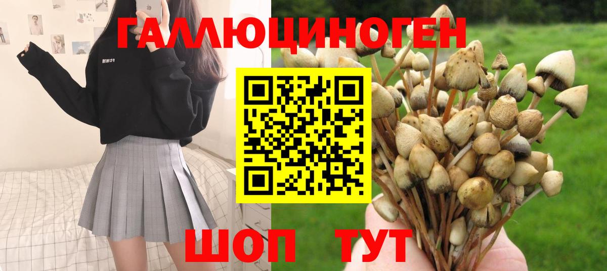Галлюциногенные грибы GOLDEN TEACHER  как найти   Новотроицк  Вход с VPN 